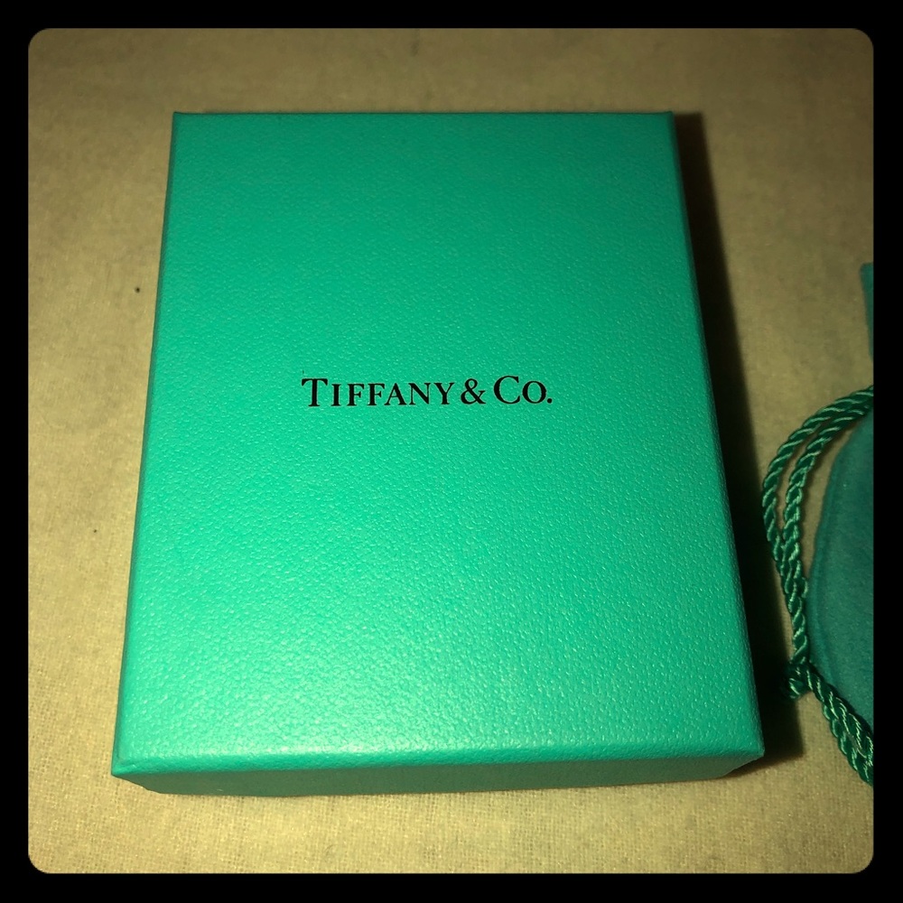 Tiffany gift box and pouch